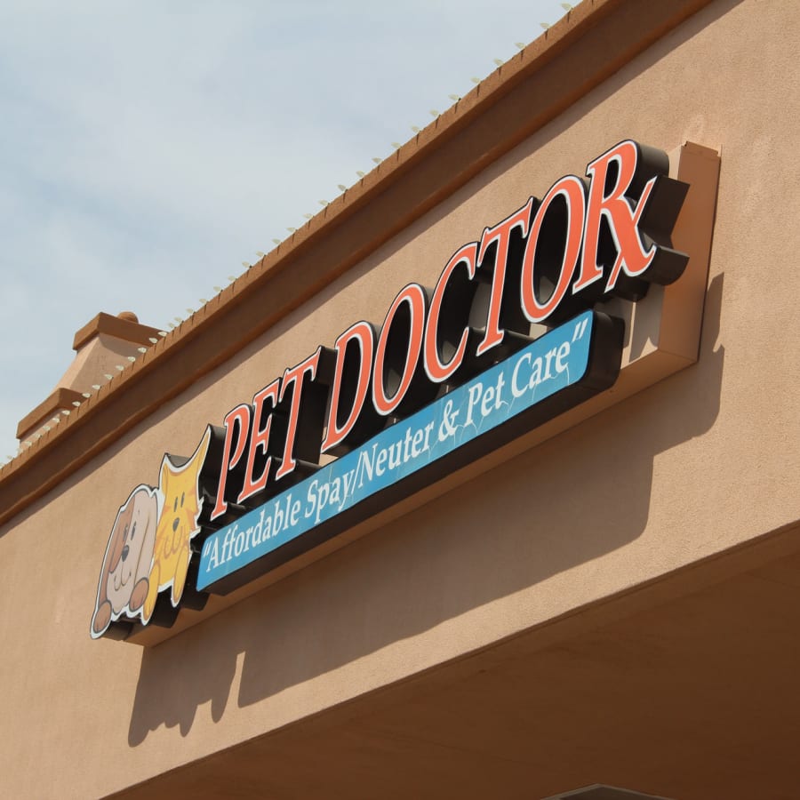 Pet Doctor in Tucson