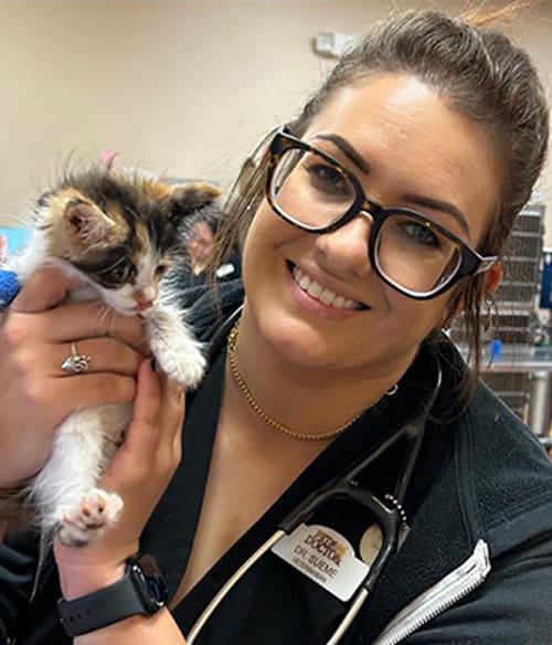 Meet Dr. Darah Sueme, Tucson Veterinarian